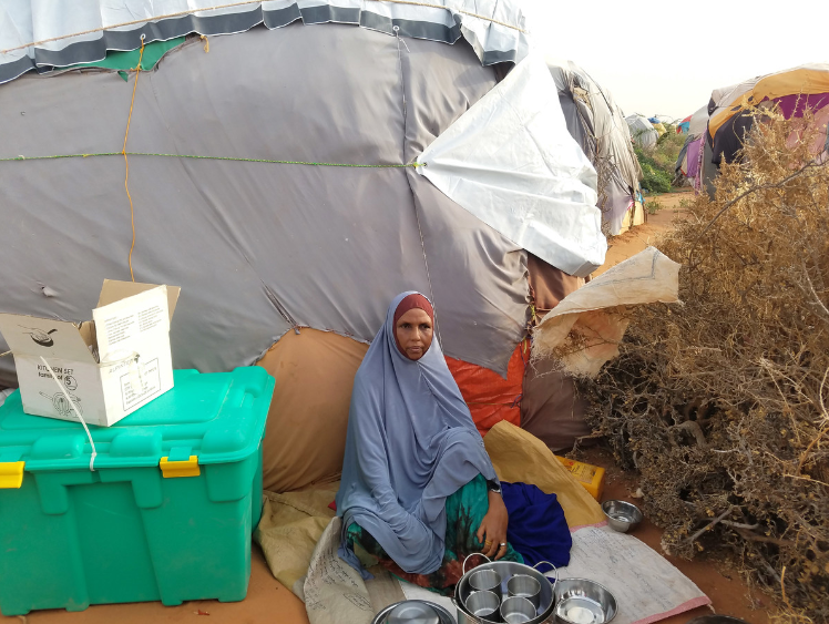 Drought Safiya
