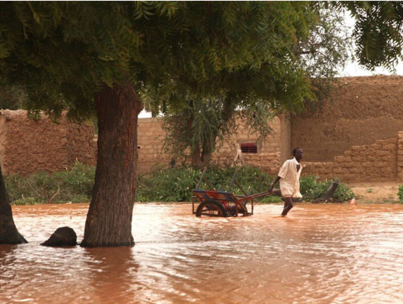 Niger flooding