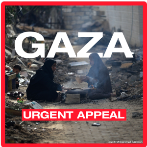 Gaza urgent appeal